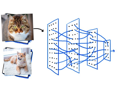 port folio image classification